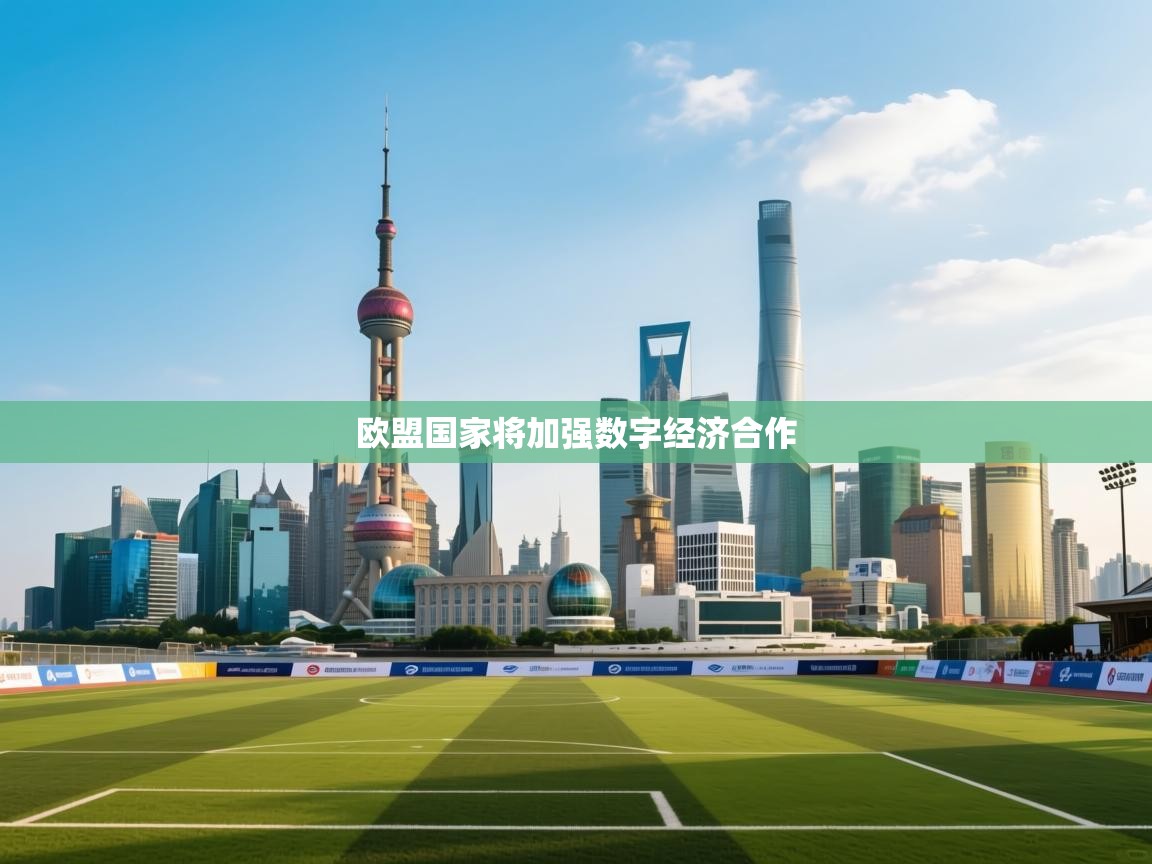 开云体育PC版网页版登录-欧盟国家将加强数字经济合作  第1张