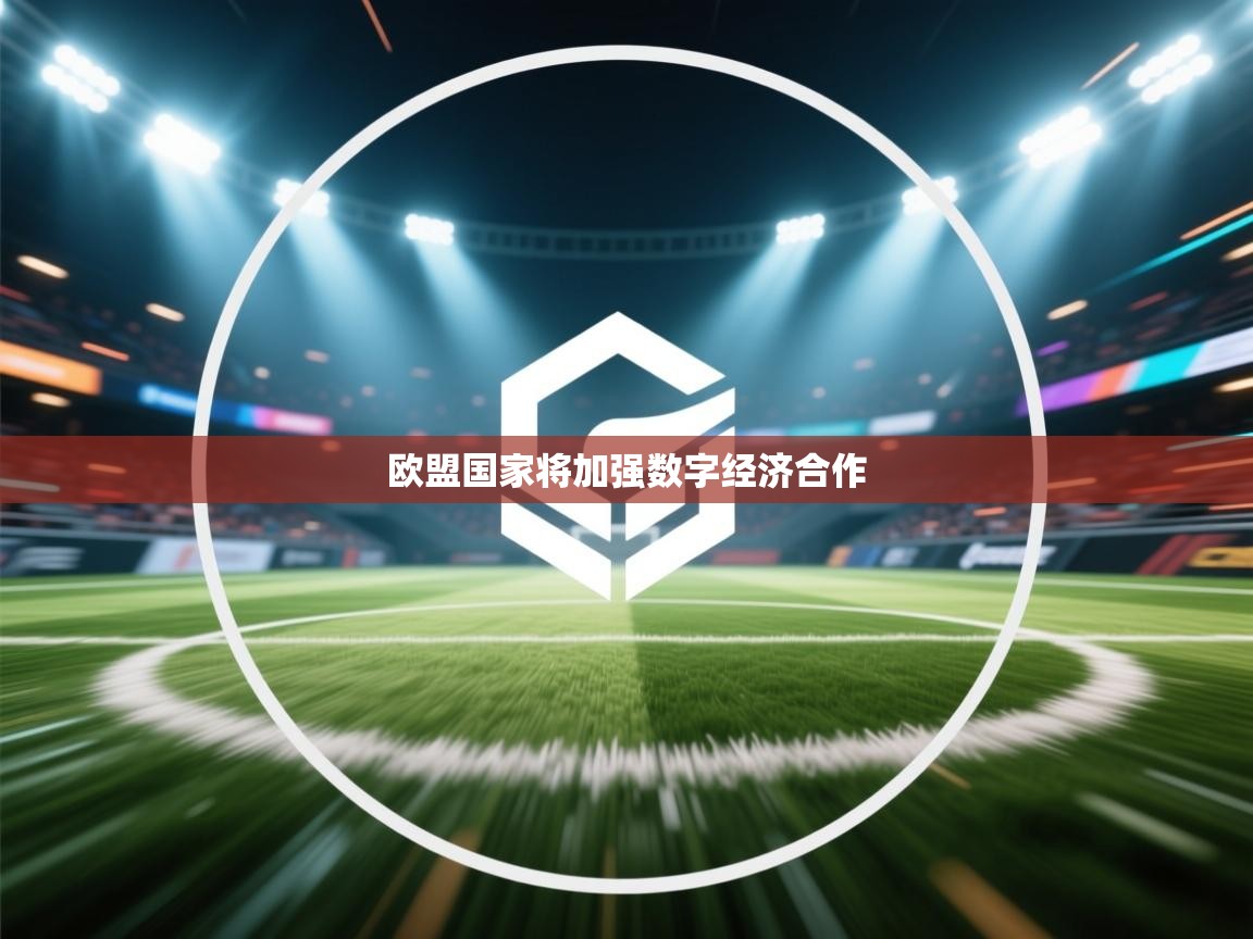 开云体育PC版网页版登录-欧盟国家将加强数字经济合作  第2张