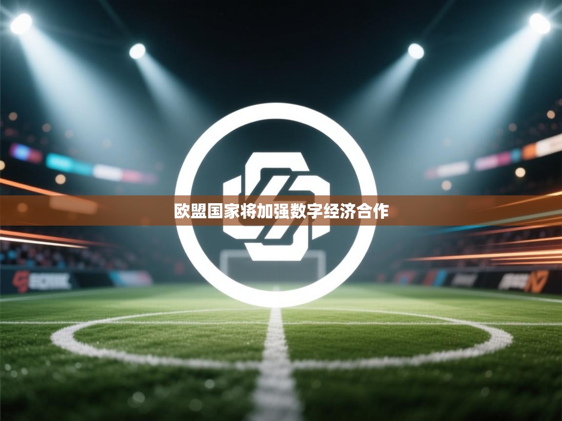 开云体育PC版网页版登录-欧盟国家将加强数字经济合作  第3张