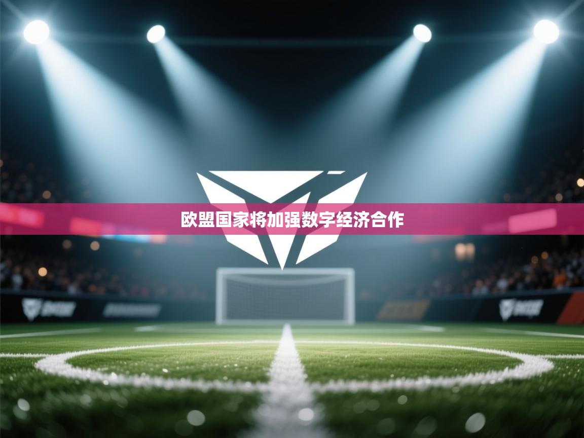 开云体育PC版网页版登录-欧盟国家将加强数字经济合作  第4张