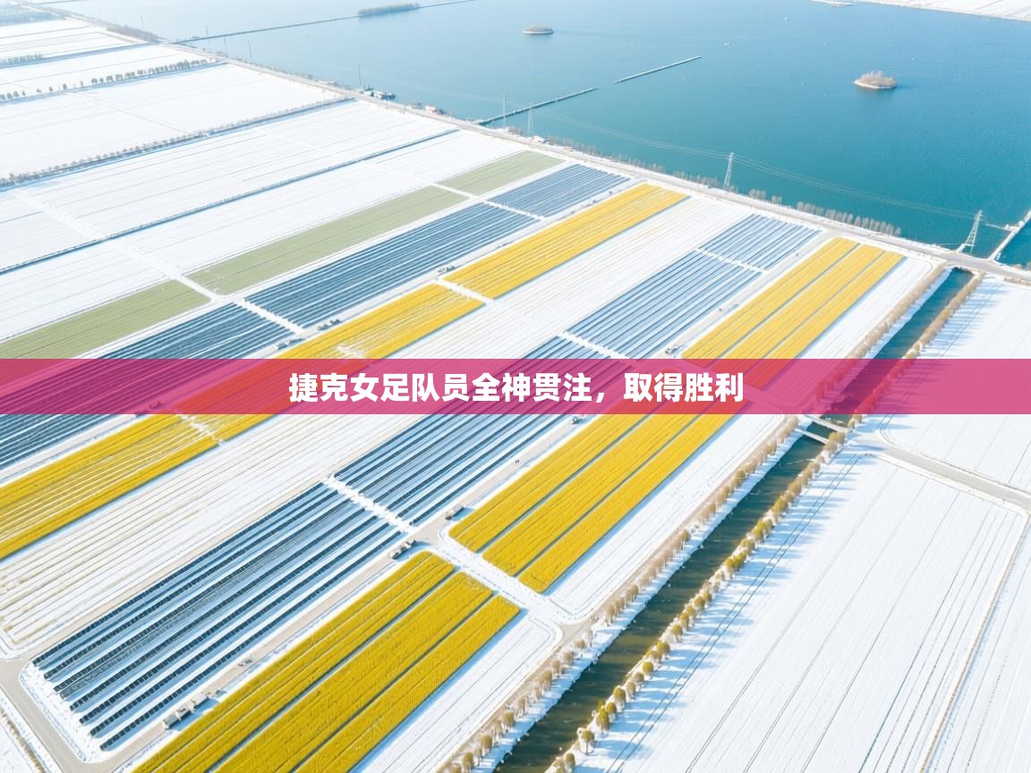 开云体育工单提交入口-捷克女足队员全神贯注,取得胜利 第3张