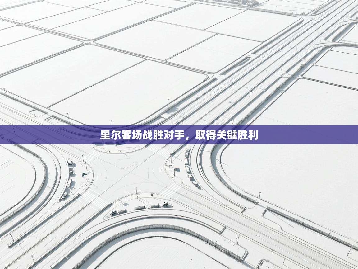 开云体育注册app-里尔客场战胜对手，取得关键胜利  第2张