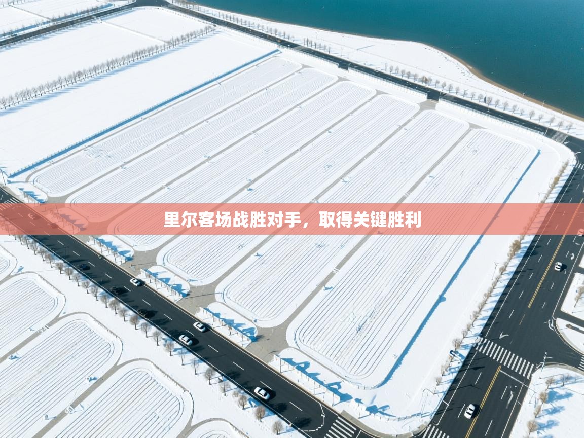 开云体育注册app-里尔客场战胜对手，取得关键胜利  第3张