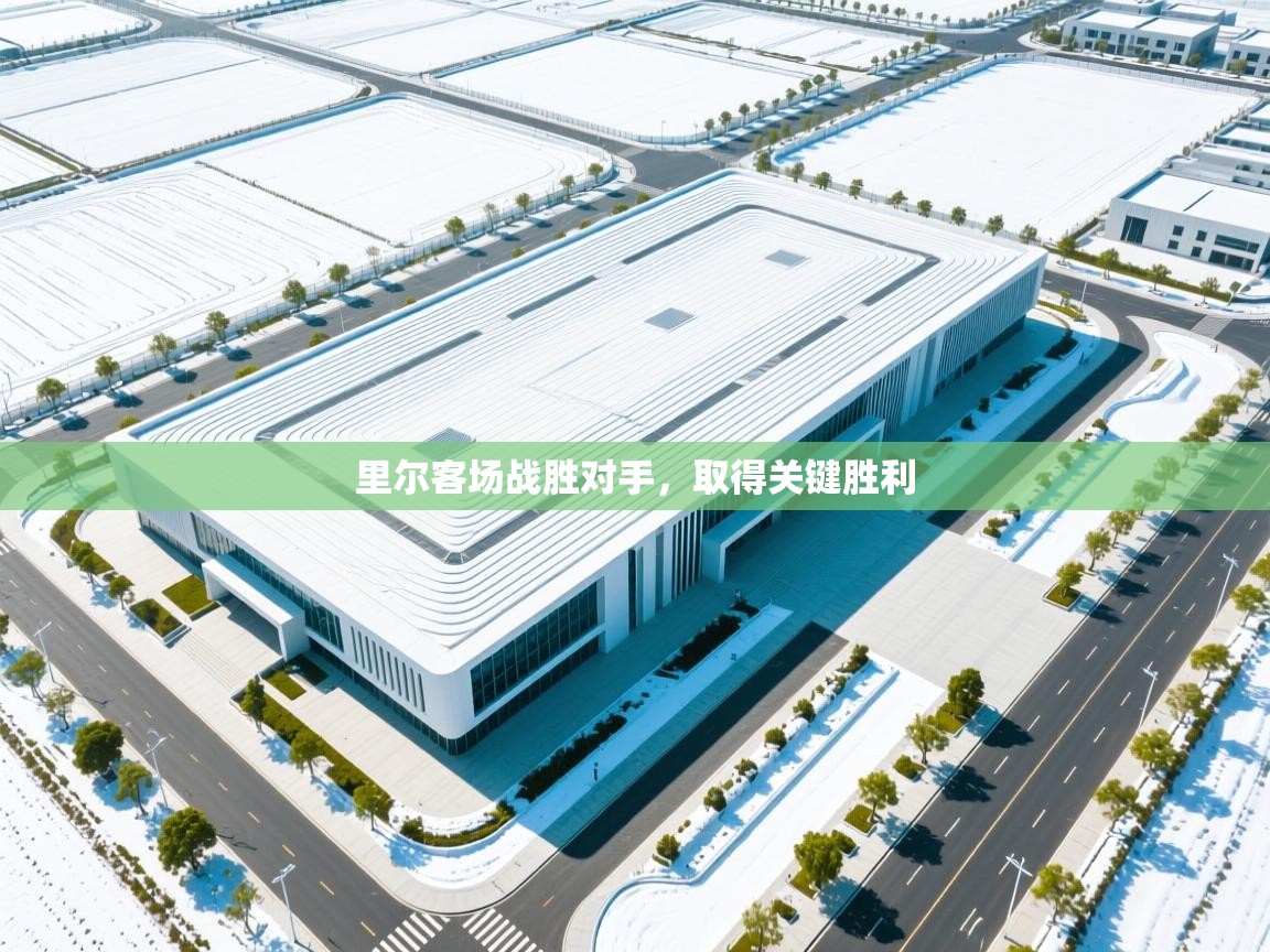 开云体育注册app-里尔客场战胜对手，取得关键胜利  第4张