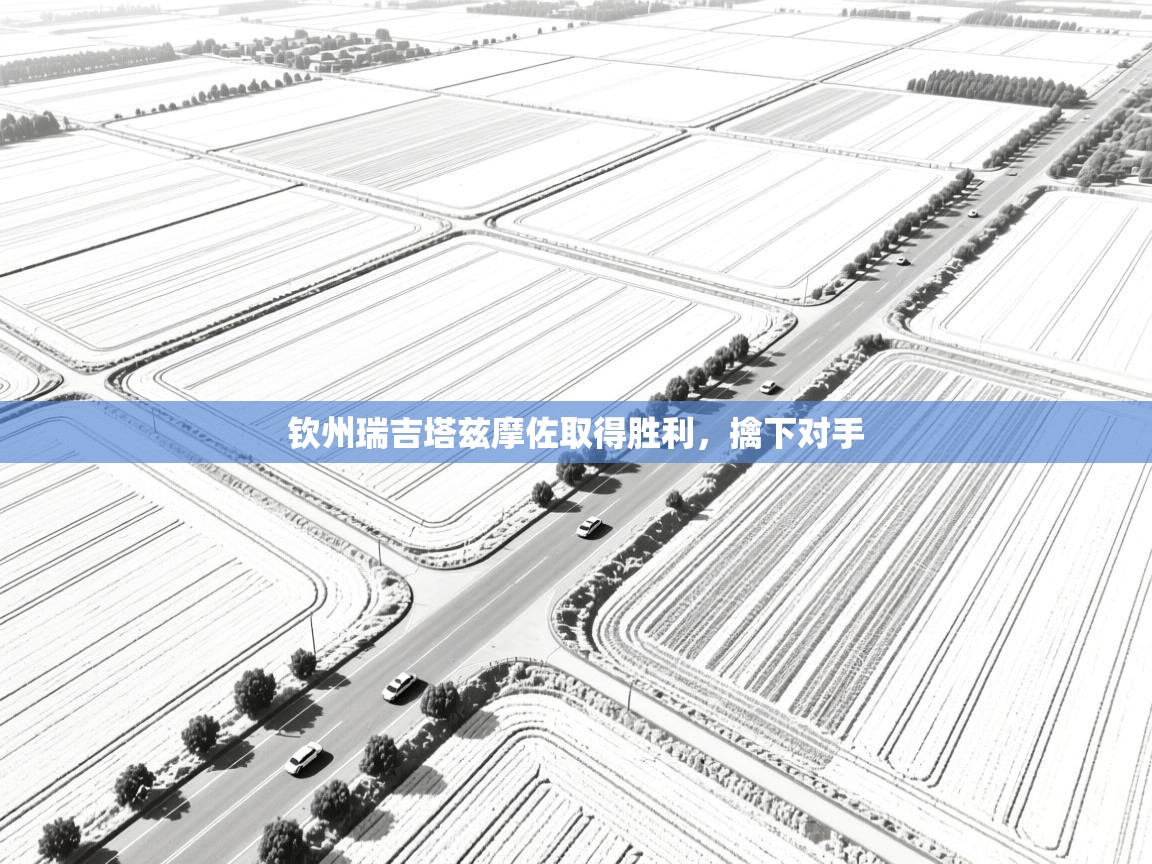 开云体育网络异常修复-钦州瑞吉塔兹摩佐取得胜利,擒下对手 第1张