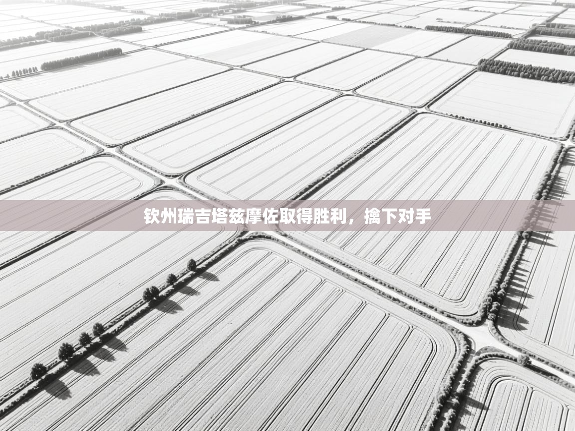 开云体育网络异常修复-钦州瑞吉塔兹摩佐取得胜利,擒下对手 第2张