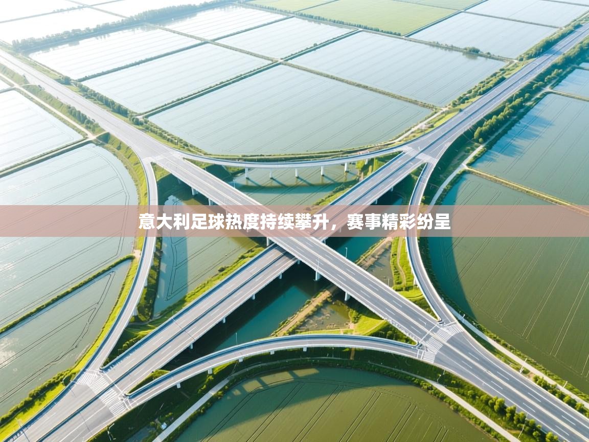 开云体育app官网入口-意大利足球热度持续攀升,赛事精彩纷呈 第2张