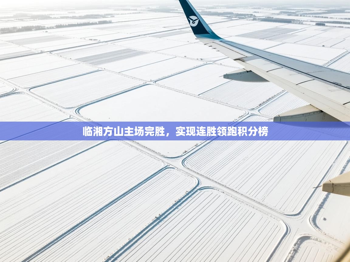 开云体育赛事比分直播-临湘方山主场完胜，实现连胜领跑积分榜  第2张