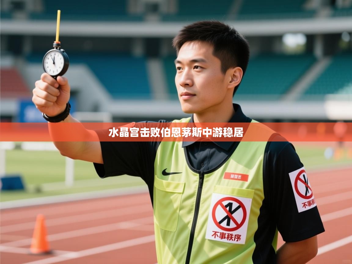 开云体育入口手机版-水晶宫击败伯恩茅斯中游稳居  第2张