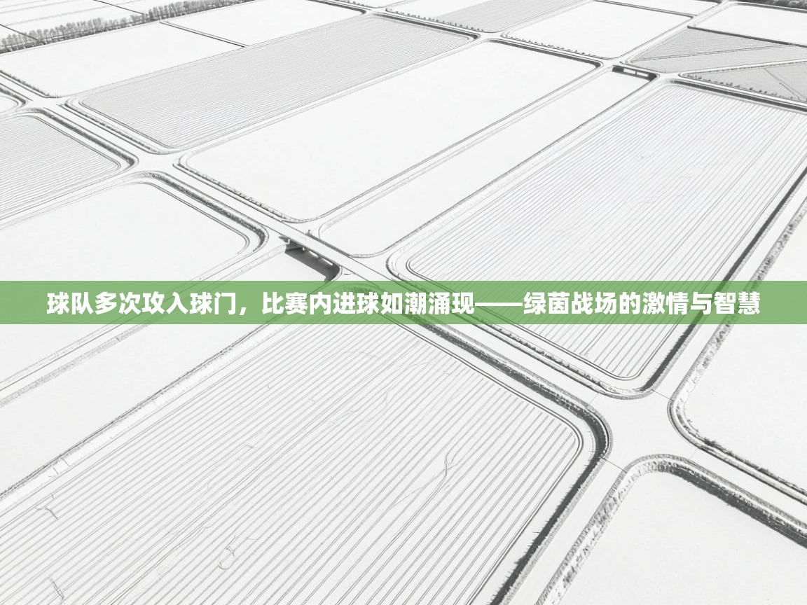 云开体育入口-球队多次攻入球门，比赛内进球如潮涌现——绿茵战场的激情与智慧  第2张
