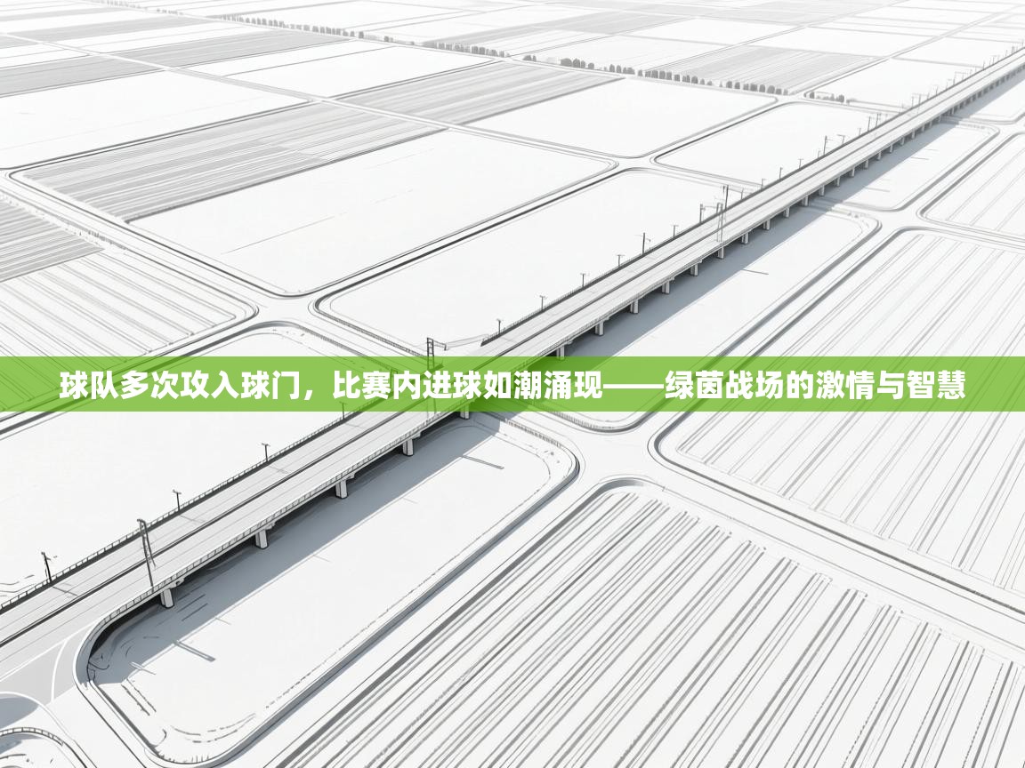 云开体育入口-球队多次攻入球门，比赛内进球如潮涌现——绿茵战场的激情与智慧  第1张