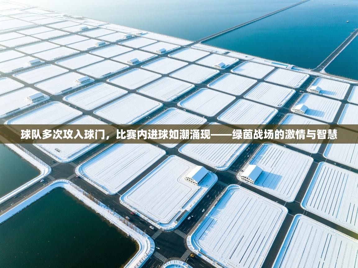 云开体育入口-球队多次攻入球门，比赛内进球如潮涌现——绿茵战场的激情与智慧  第4张