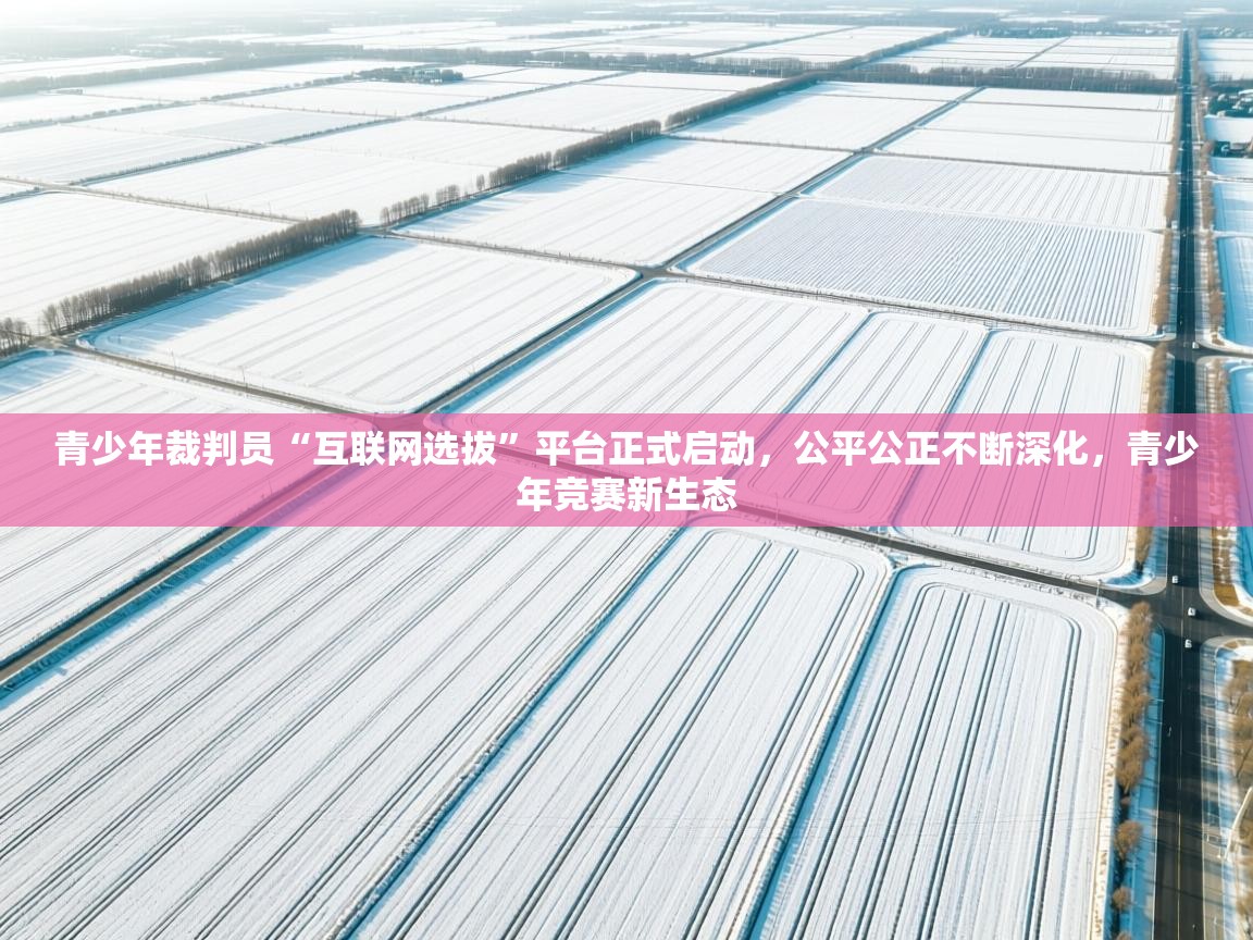 开云体育苹果版下载-青少年裁判员“互联网选拔”平台正式启动,公平公正不断深化,青少年竞赛新生态 第4张